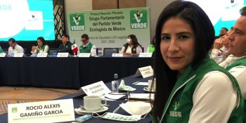 Expulsa PVEM a diputada Alexis Gamiño por votar contra la Reforma Eléctrica