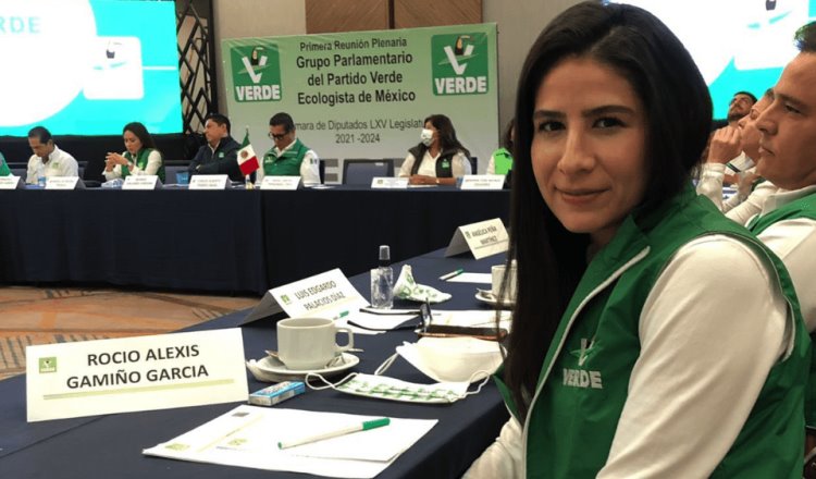 Expulsa PVEM a diputada Alexis Gamiño por votar contra la Reforma Eléctrica