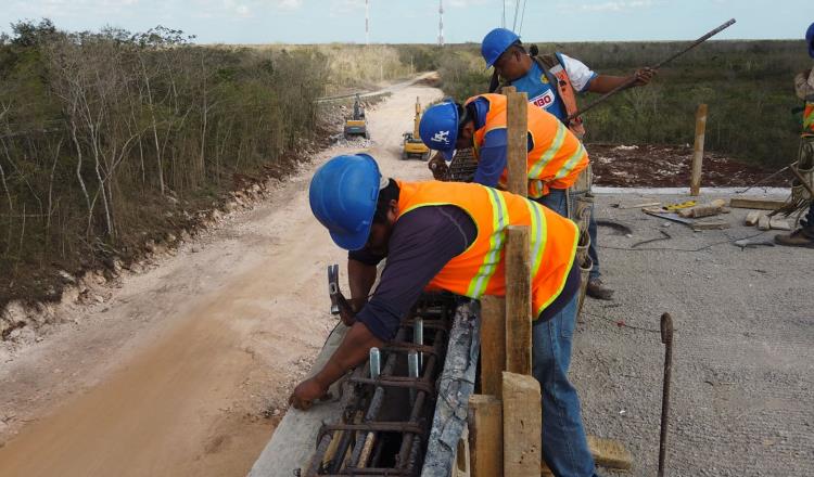 Frena juzgado en Yucatán obras del Tramo 5 del Tren Maya