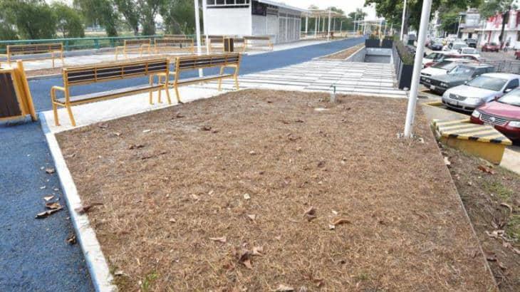 Rechazan que demolición de parque lineal de Malecón sea “revanchismo” contra Gaudiano Rovirosa