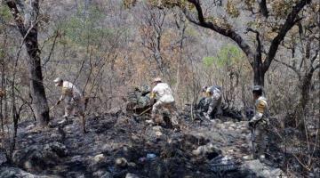 Aplica Sedena Plan DN-III-E por incendio forestal en Sonora 