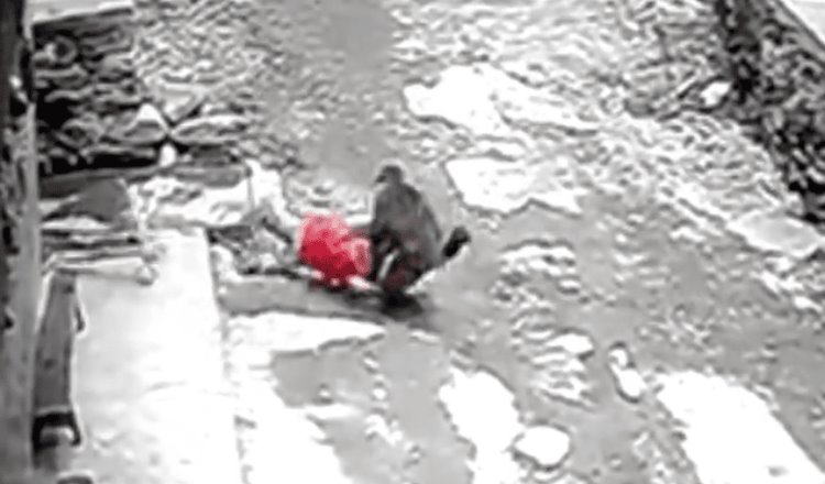Mono ataca e intenta llevarse a niña en China