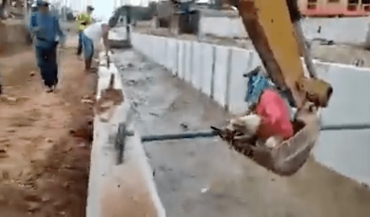 Trabajadores en Ecuador usan retroexcavadora para salvar a perrito arrastrado por una corriente