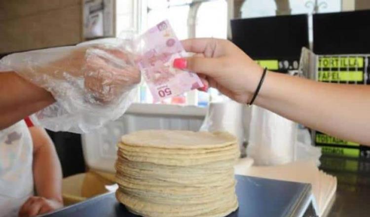 Piden industriales de la masa en Tabasco, reglamento para evitar incrementos y disparidad en precios de la tortilla