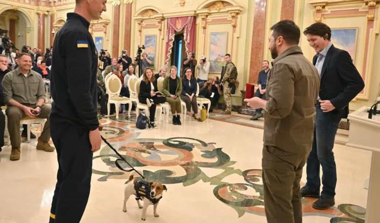 Gobierno de Ucrania condecora a “Patrón”, un perro que ha encontrado más de 200 explosivos en el país