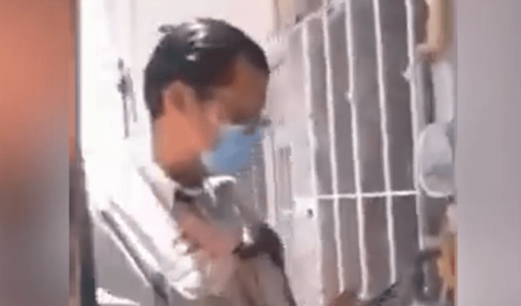 VIDEO| Acusan a trabajador de CFE de matar con un desarmador a una perrita, en Puebla