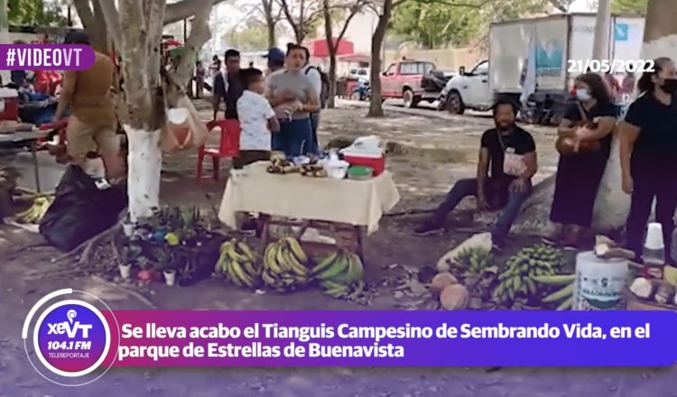 Reaperturan tianguis campesino en Estrellas de Buenavista con productos de ‘Sembrando Vida’