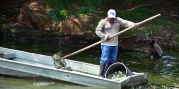 Prometen avance del 50% en rescate de la Laguna de las Ilusiones al terminar 2022