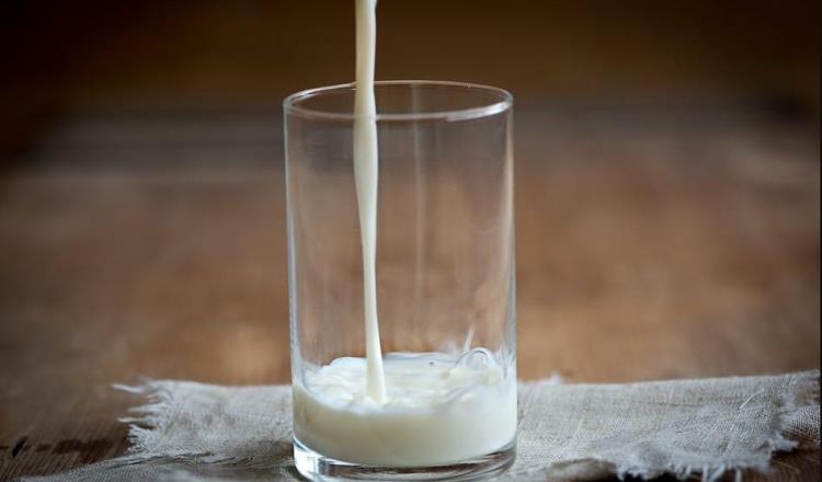 Detecta Profeco leches que no son de vaca; contienen grasa vegetal