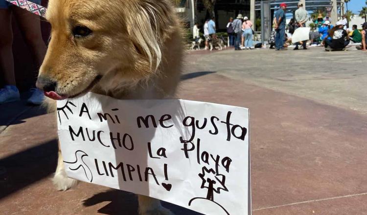 Exhiben incompetencia de Profepa para sancionar dragado sin permisos ambientales en Ensenada