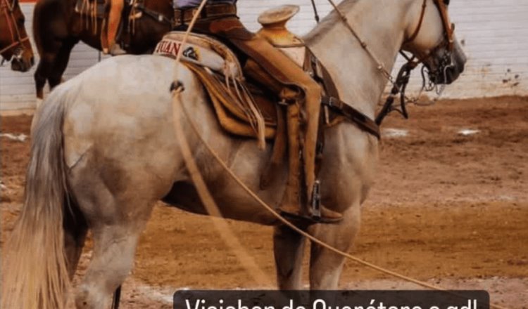 Roban caballos a la Asociación de Charros de Zacatecas
