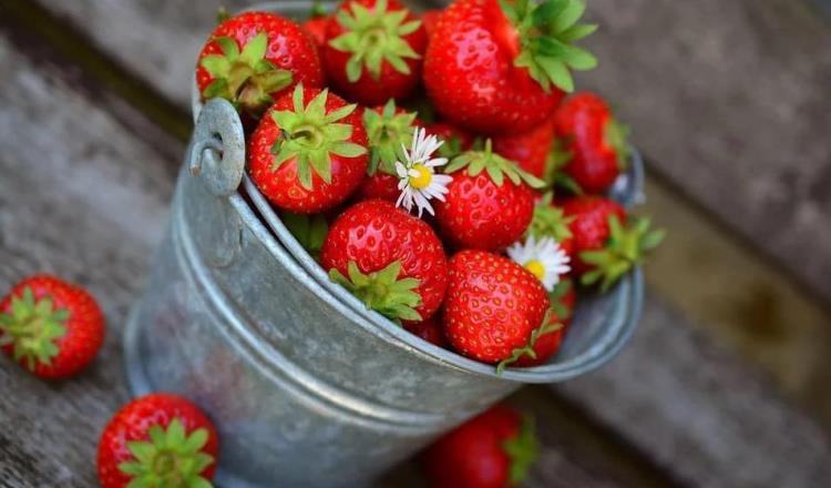 Investigan brote de hepatitis A en EE.UU. y Canadá relacionado con fresas mexicanas