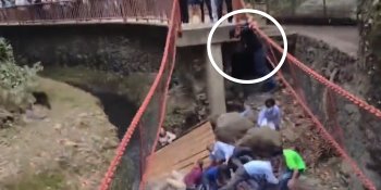 Alguien brincó: Narran colapso de puente colgante en Cuernavaca, Morelos