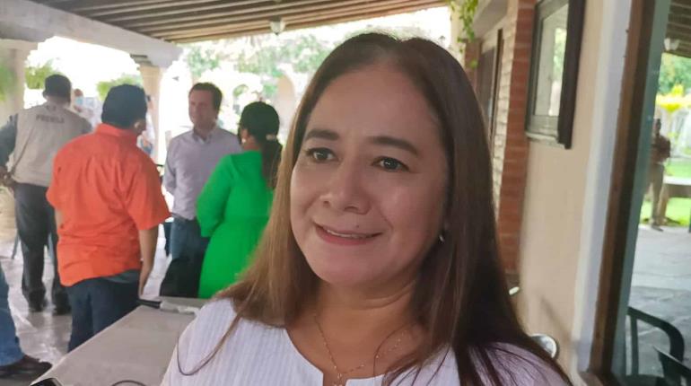 Diputada Casilda Ruiz analiza pedir licencia al cargo