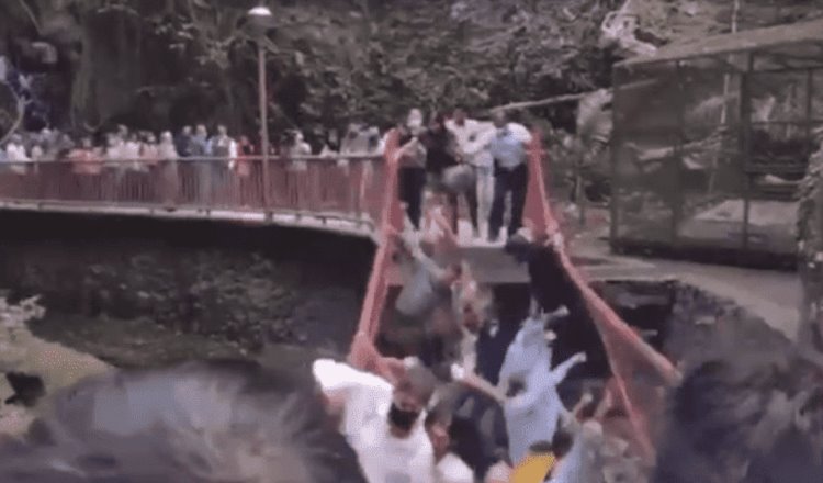 Cae puente colgante reinaugurado en parque de Cuernavaca