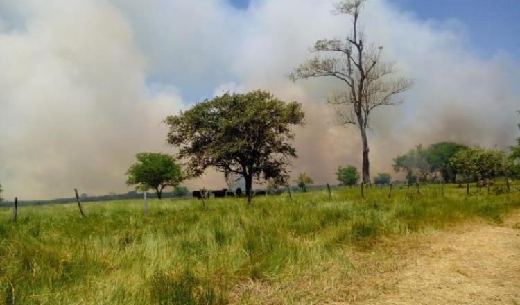 La mitad del territorio de Tabasco está deforestado, asegura Comisión Estatal Forestal