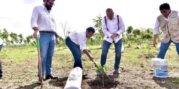 Desde Tabasco dan banderazo a Jornada Nacional de Siembra 2022