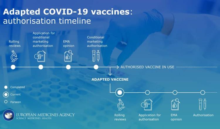 Estudia la UE vacuna anticovid de Pfizer dirigida a variantes