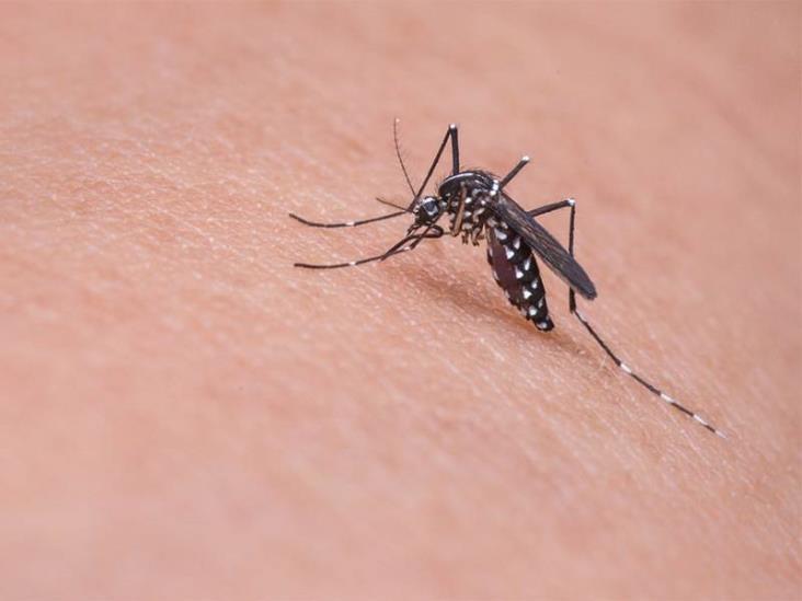 Atiende ISSET pocos casos de dengue