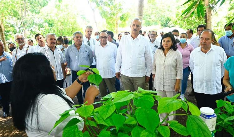 Firma Gobierno de Tabasco convenio con empresa para la reforestación del estado