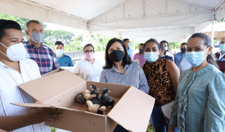 Promueve Centro independencia económica de las mujeres con entrega de apoyos productivos