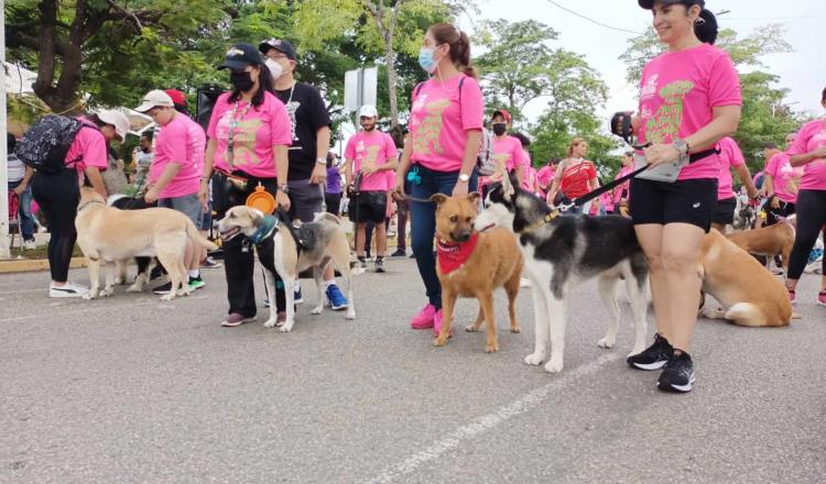 Perritos y sus familias acuden a la 3ra “Gran Caninata” contra el maltrato animal