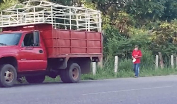 [VIDEO] “¡Te tengo grabado!” Exhiben a hombre abandonando perros en la carretera Río Viejo-La Isla