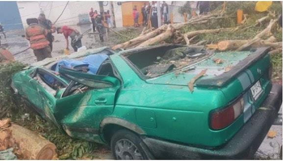 Muere hombre en su auto al caerle un árbol en Ecatepec