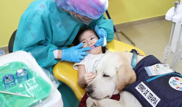 Perrito tranquiliza a niños en consultorio dental de Ecuador