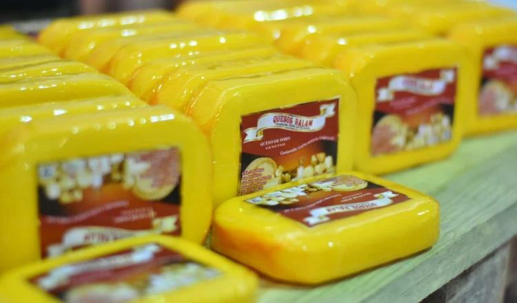 Busca Sedec crear una marca de queso con productores de Los Ríos
