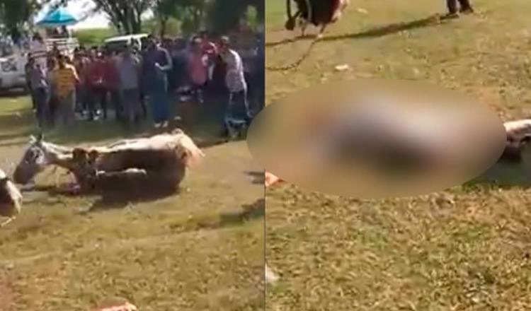 [VIDEO] Muere hombre durante carrera de caballos en Nacajuca