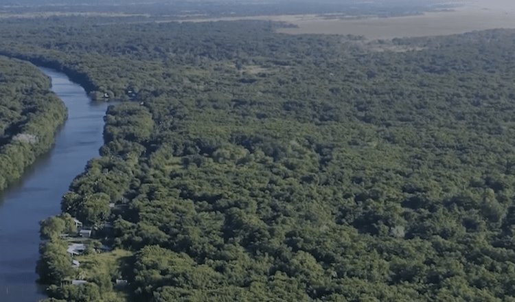 ¡A celebrar a los Pantanos de Centla! Conoce las actividades por los 30 años de la creación de la reserva