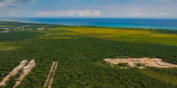 Declaran zona Jaguar, en Tulum, QR como área natural protegida