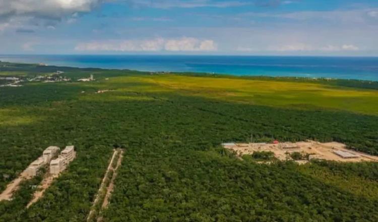 Declaran zona Jaguar, en Tulum, QR como área natural protegida