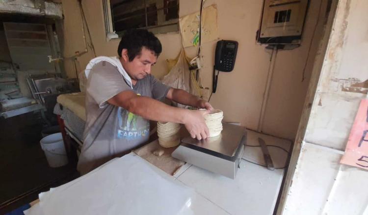 Kilo de tortilla cerraría el año hasta en 28 pesos, advierten productores
