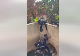 [VIDEO] Rescatan policías a un perrito atrapado en drenaje de Culiacán, Sinaloa