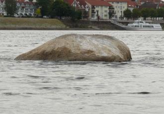 Sequía en Europa deja al descubierto las "piedras del hambre" en el río Rin