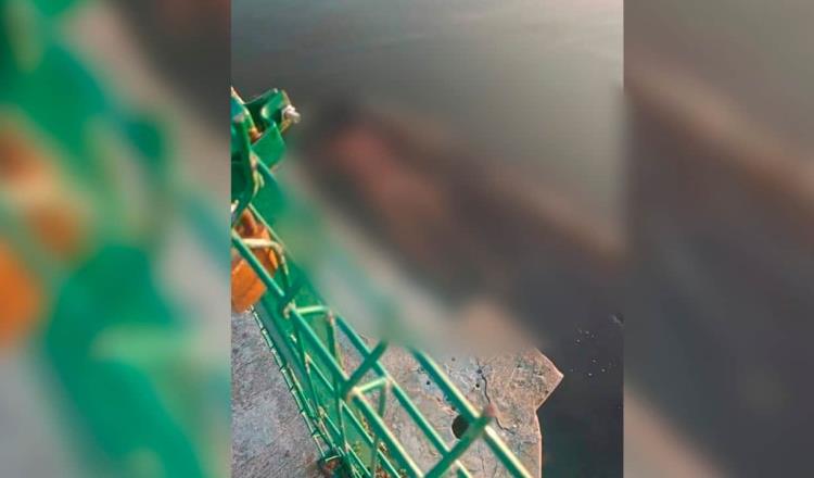 [VIDEO] Muere hombre tras ataque de cocodrilo en Laguna del Carpintero en Tampico