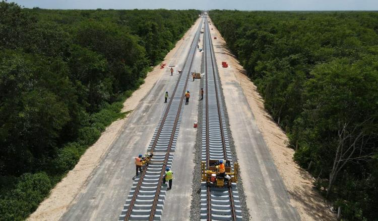 INAI ordena a Semarnat entregar autorización provisional para construir tramo 4 del Tren Maya