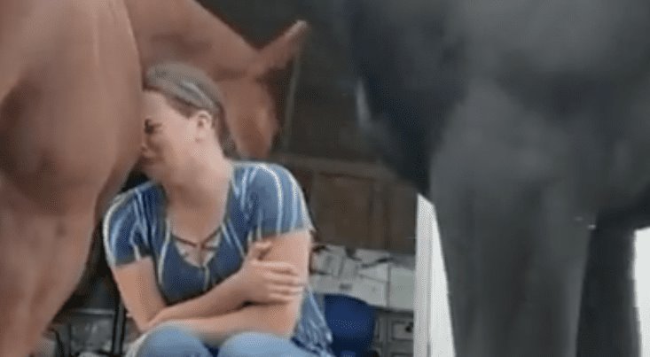 Caballo consuela a su cuidadora que lloraba, video se vuelve viral