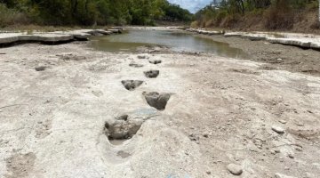 Descubren huellas de dinosaurio tras sequía en parque de Estados Unidos