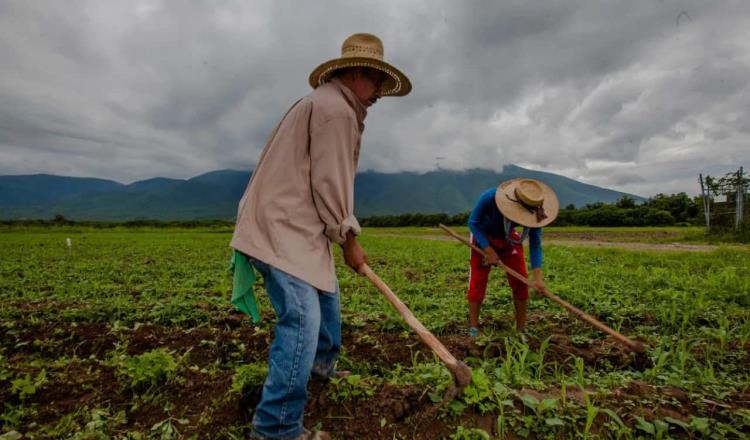 Pide Congreso Agrario incrementar presupuesto al campo en 2023