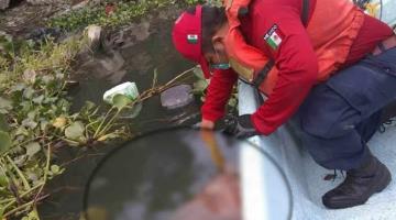 Ha recuperado FGE 181 cuerpos humanos en ríos y lagunas de Tabasco, en los últimos 4 años y medio