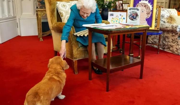 Los corgis reales: La raza de perros favorita de la Reina Isabel II