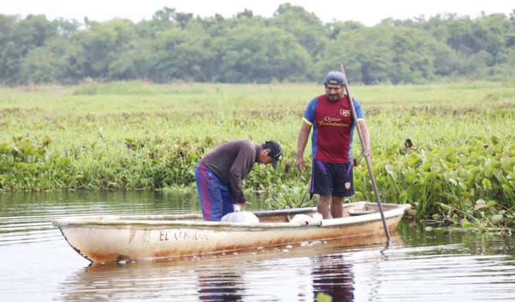 Libera Ayuntamiento de Centro 200 mil crías de tilapia en complejo lagunar Yumká