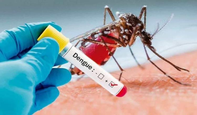 Tabasco mantiene primer lugar nacional en casos de dengue; confirma 2 pacientes al día
