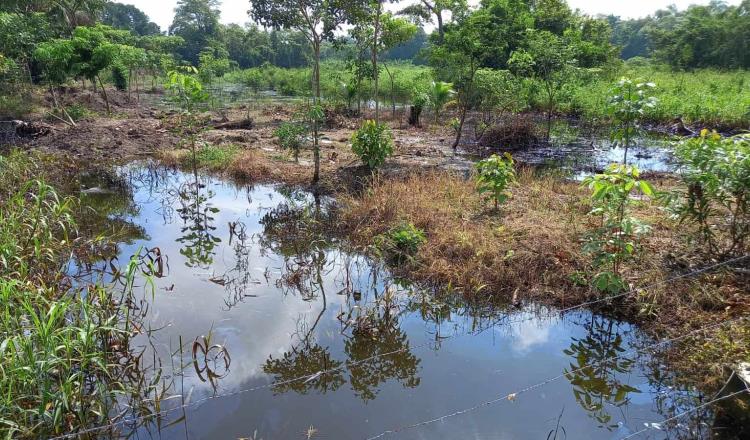 Fuga de petróleo afecta 27 hectáreas de cultivo en González, Centro; pobladores demandan limpieza de la zona