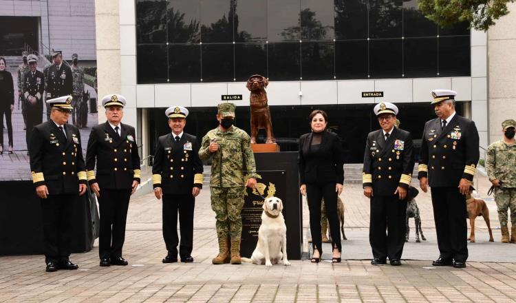 Develan estatua en honor a la perrita rescatista ‘Frida’