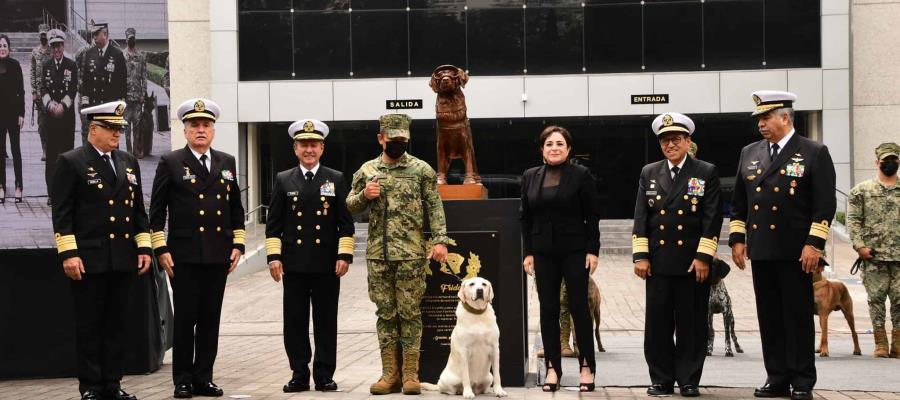 Develan estatua en honor a la perrita rescatista ‘Frida’