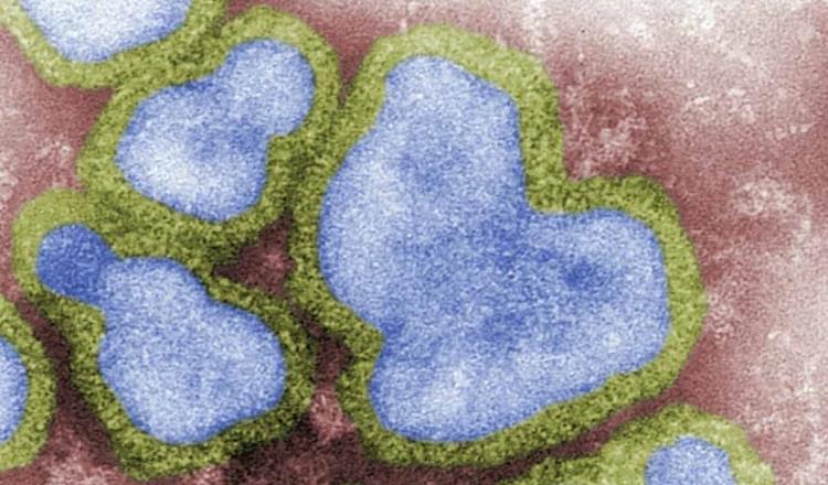 Nueva cepa de influenza sería “mortal”